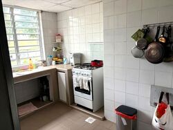 Pandan Valley (D21), Condominium #526648451